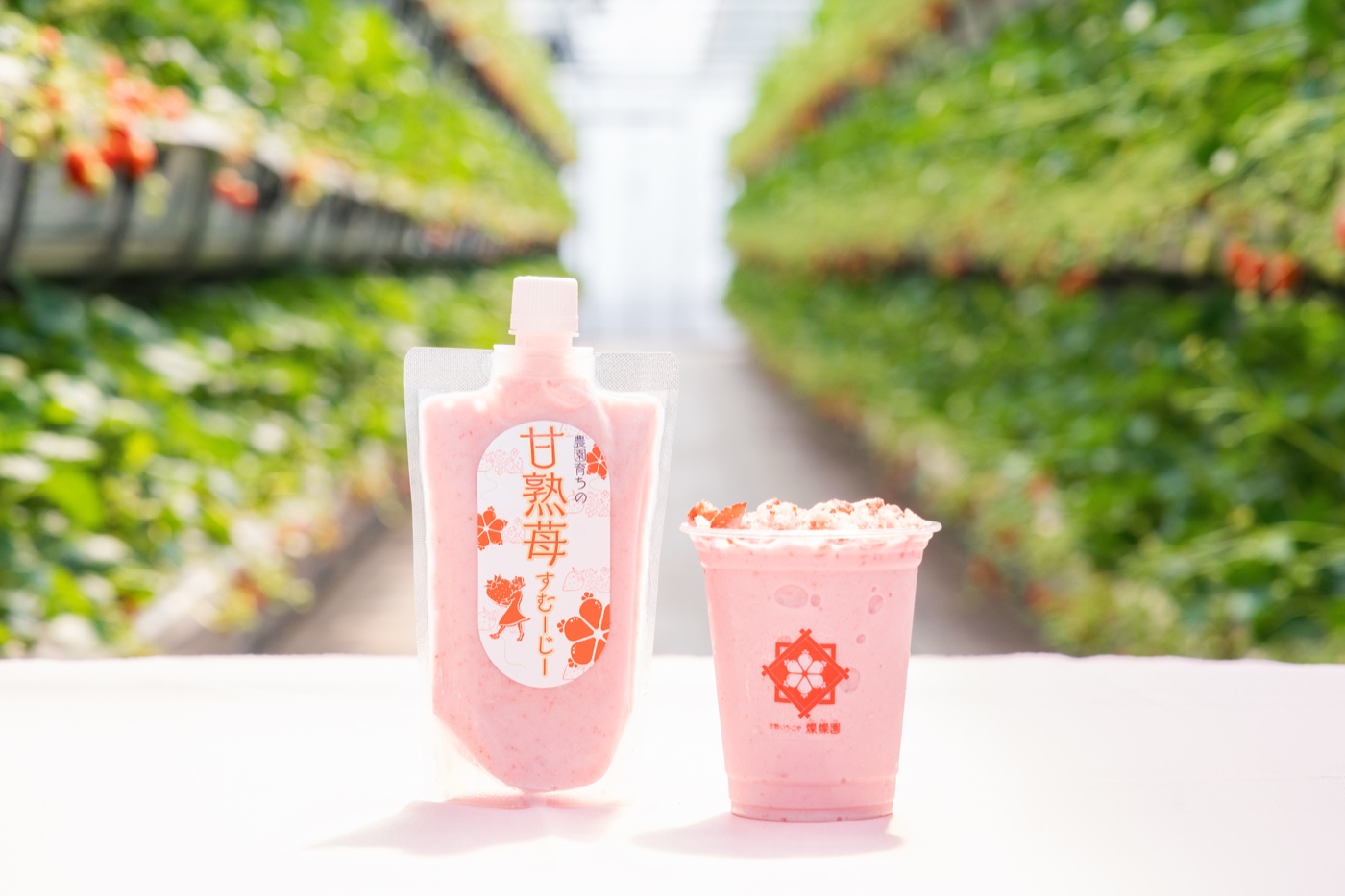 甘熟いちごスムージー 2カップ