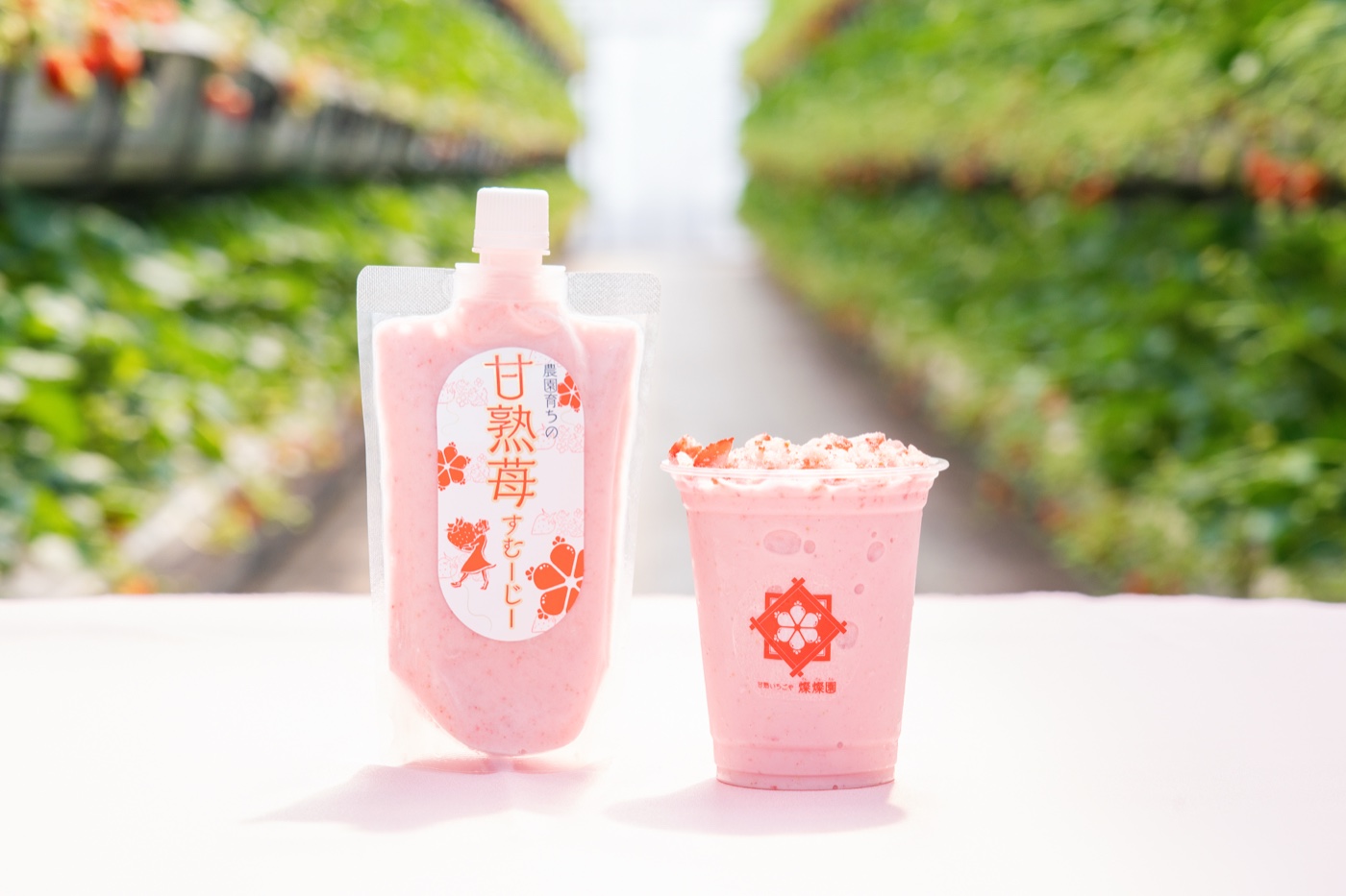 物販・テイクアウト