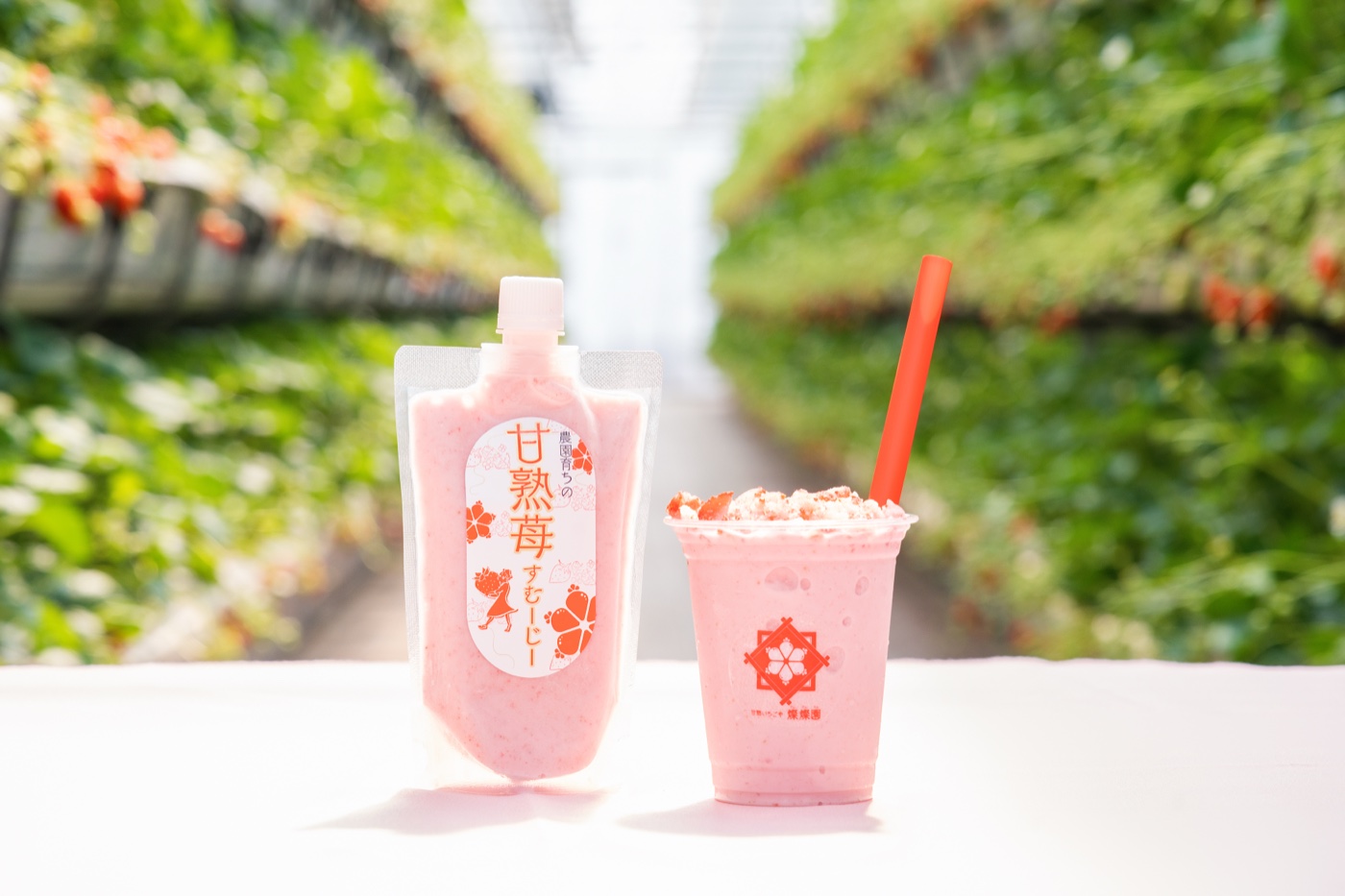 甘熟いちごスムージー（桜ラベル）